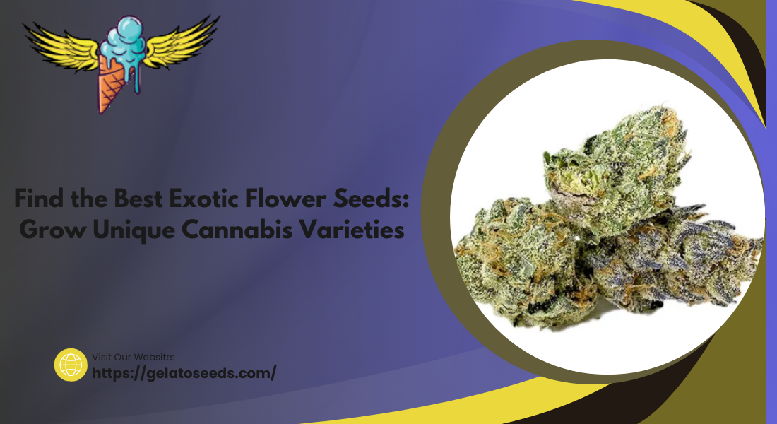 Exotic Flower Seeds