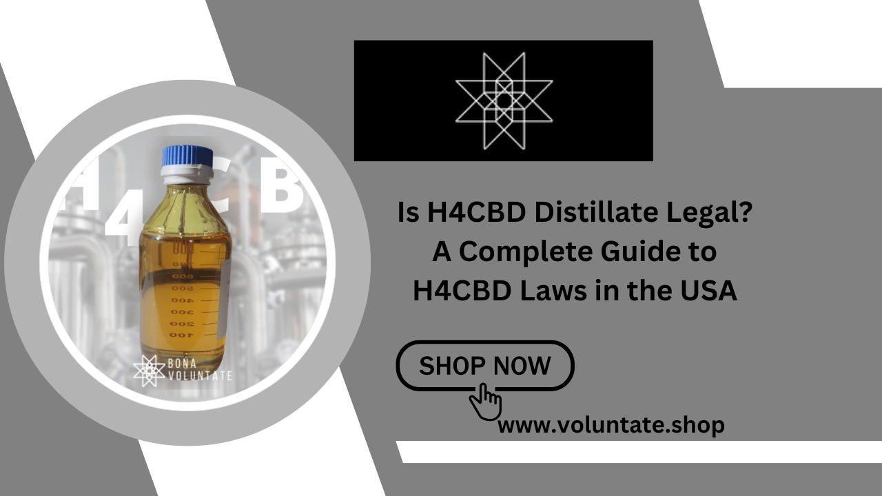 Is H4CBD Distillate Legal? A Complete Guide to H4CBD Laws in the USA