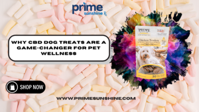 CBD Dog Treats