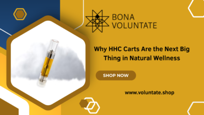 Why HHC Carts Are the Next Big Thing in Natural Wellness