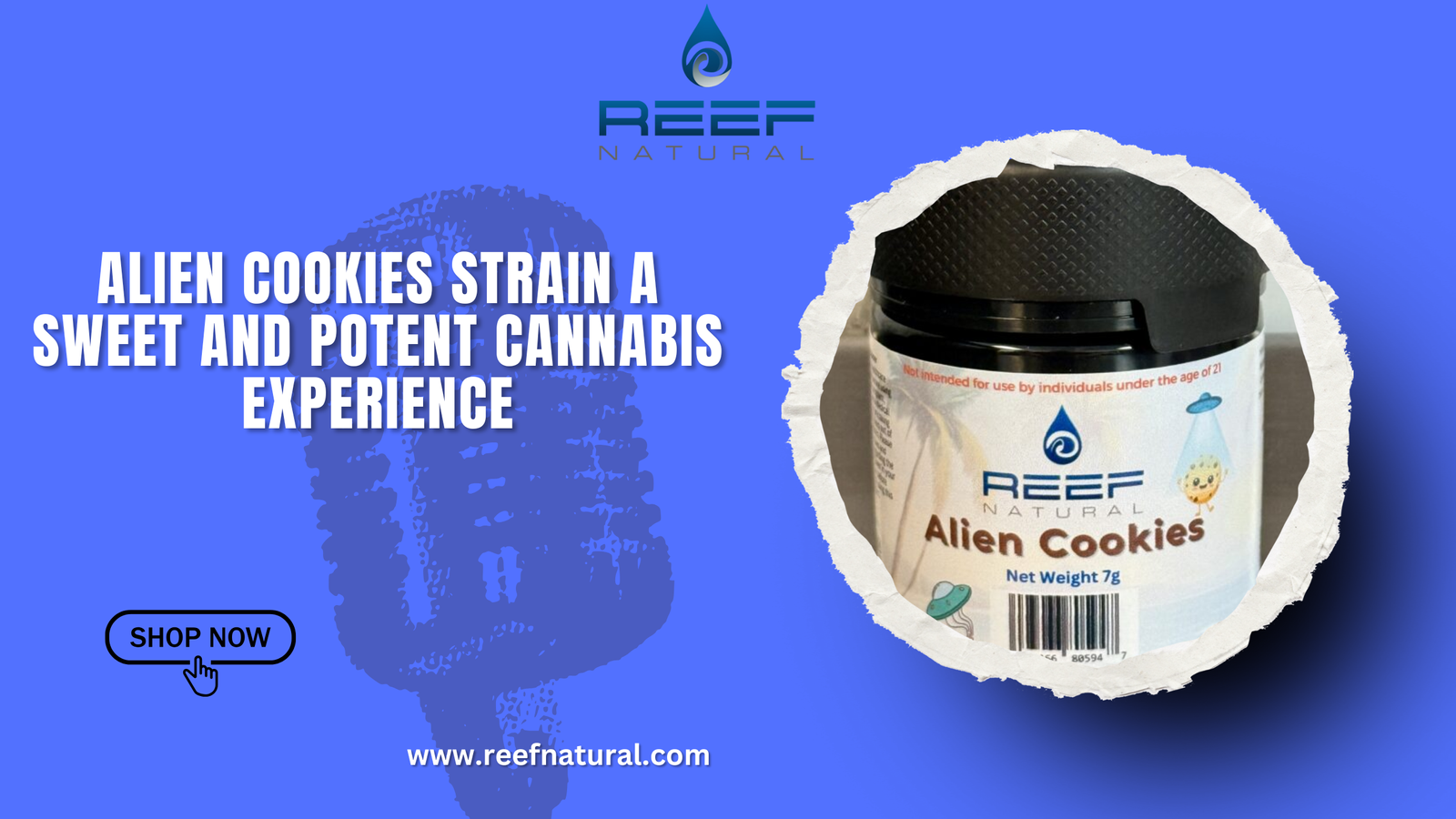 Alien Cookies Strain