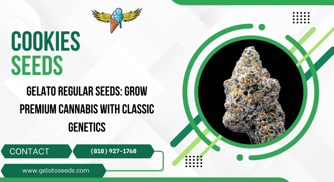 gelato regular seeds