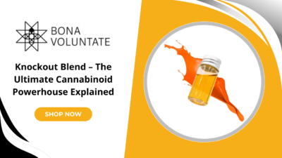 knockout blend