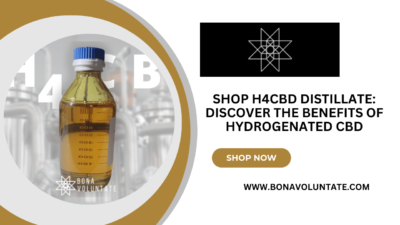 Shop H4CBD Distillate – Benefits, Uses & Buying Guide