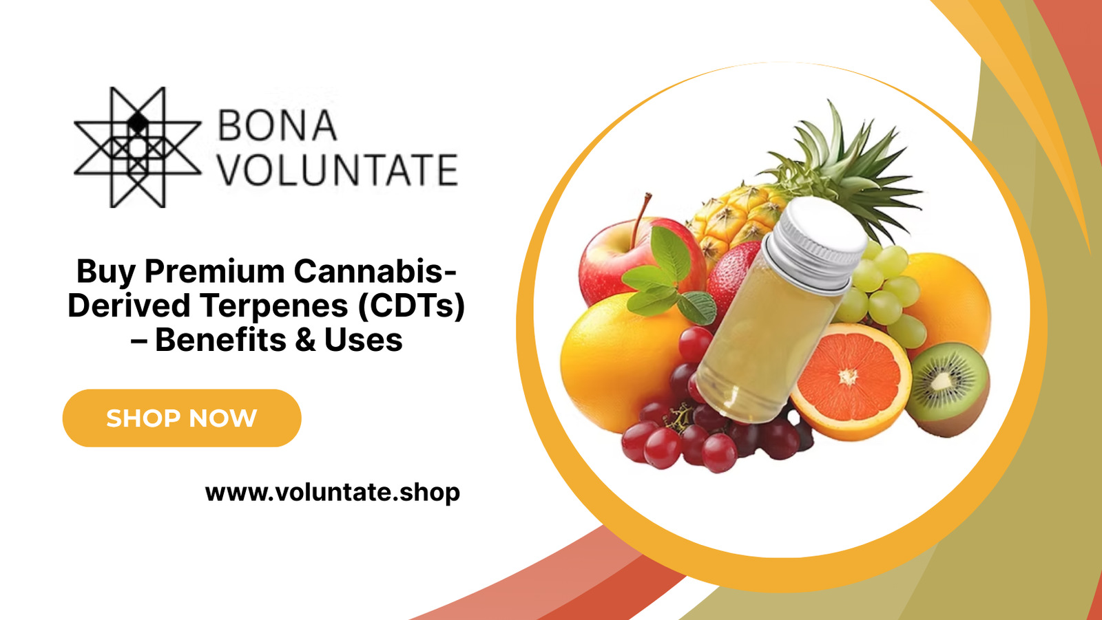 Buy Premium Cannabis-Derived Terpenes (CDTs) – Benefits & Uses