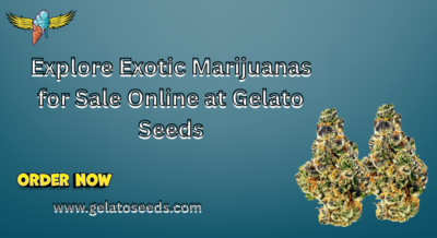 exotic marijuanas for sale online