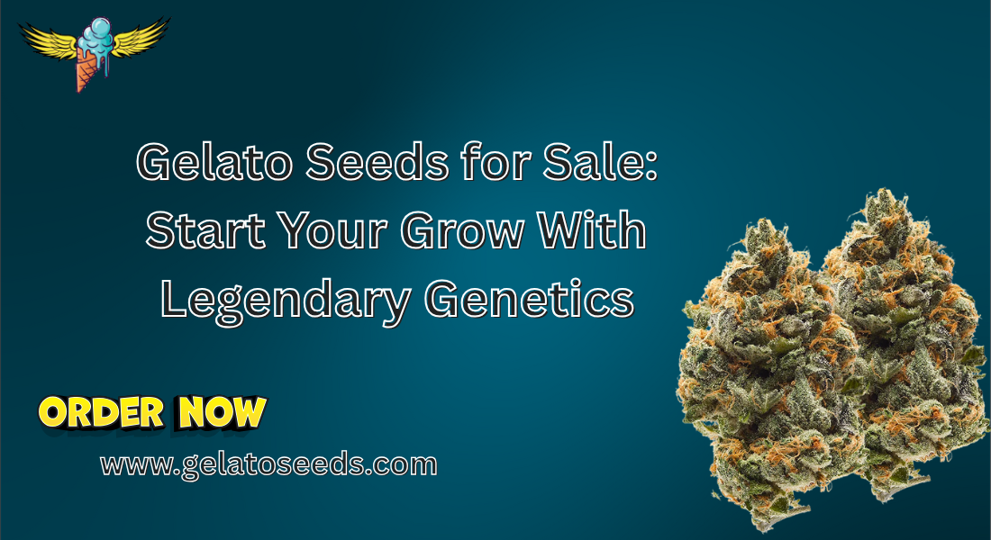 gelato seeds for sale