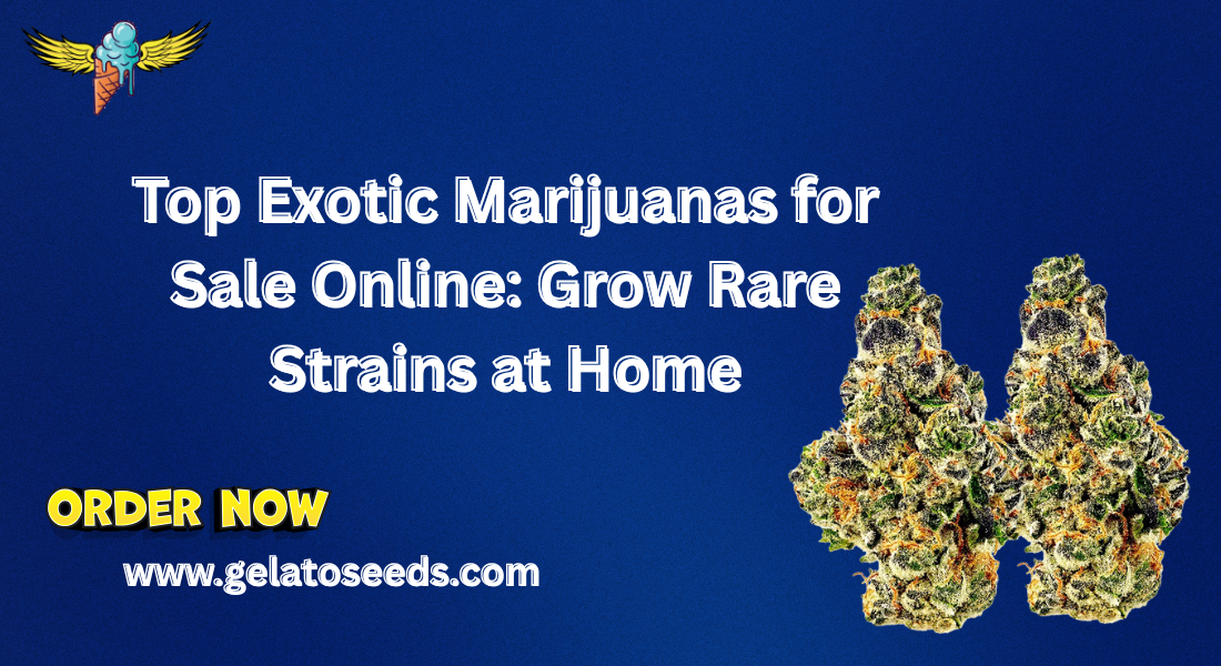 exotic marijuanas for sale online