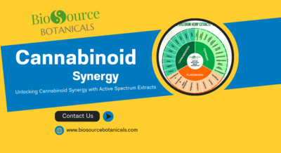 Cannabinoid Synergy