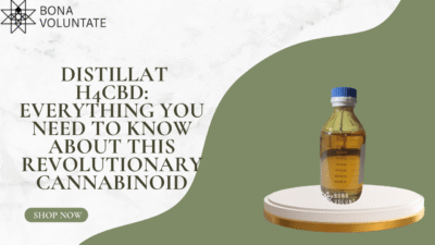 distillat h4cbd