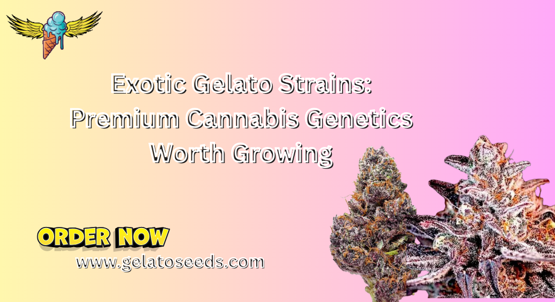 exotic gelato