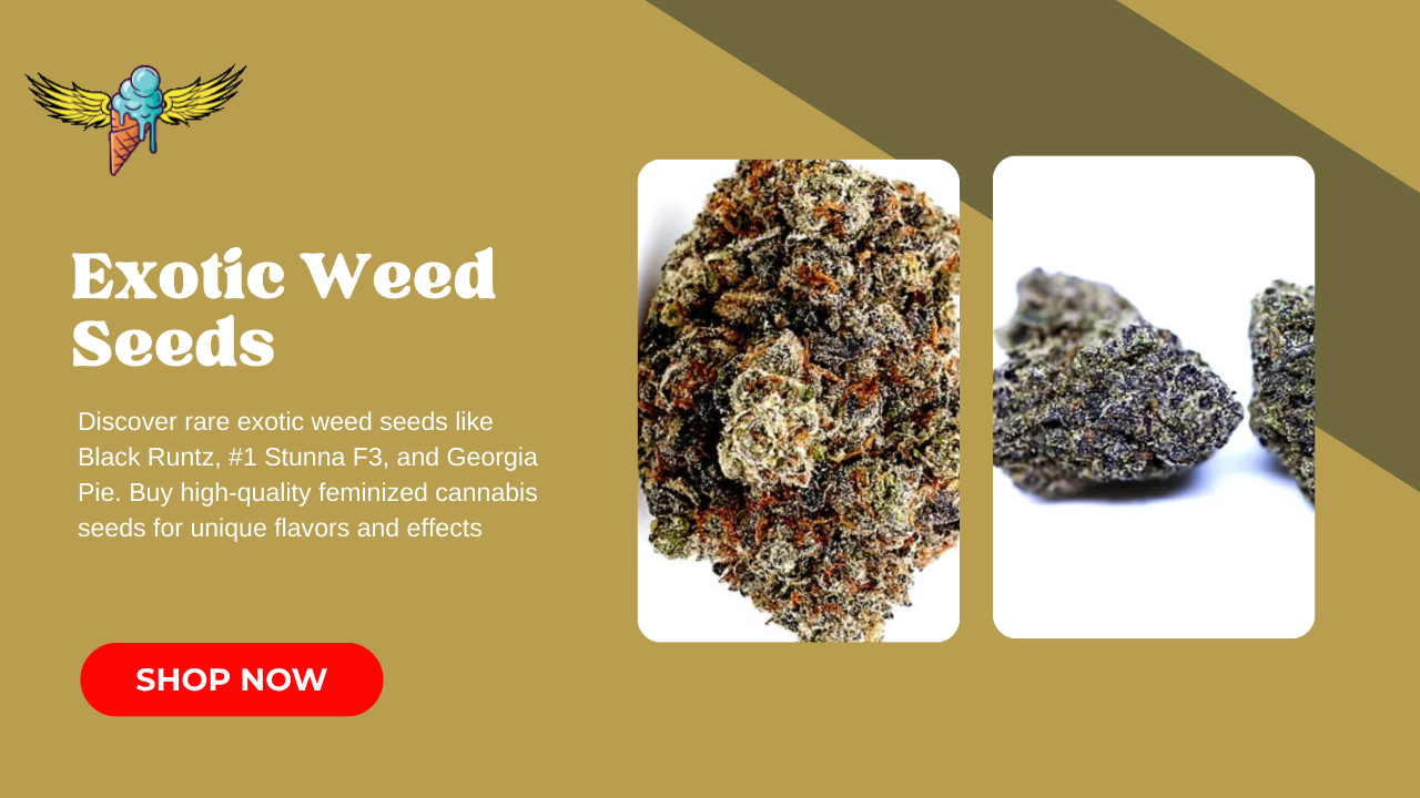 Exotic Weed Seeds