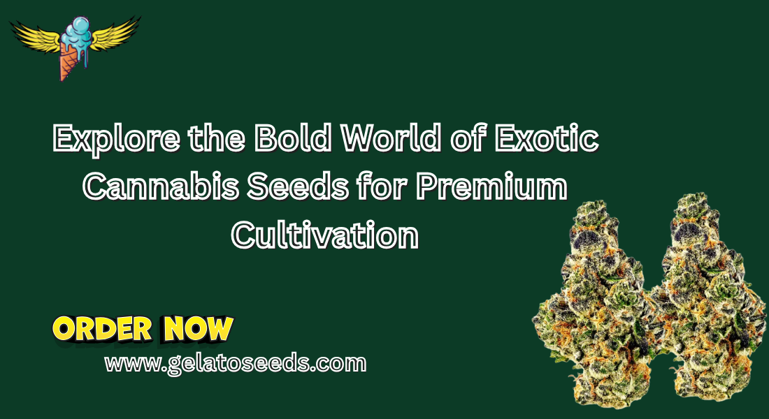 exotic cannabis seeds