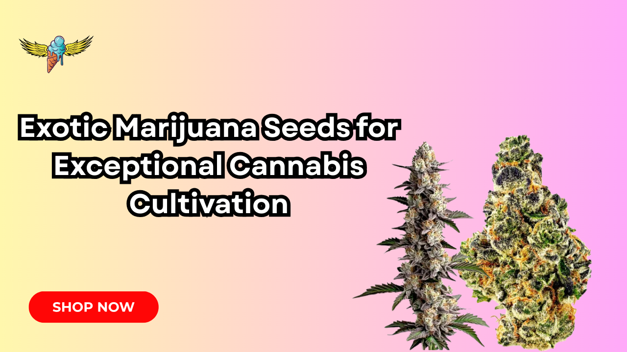 Exotic Marijuana Seeds