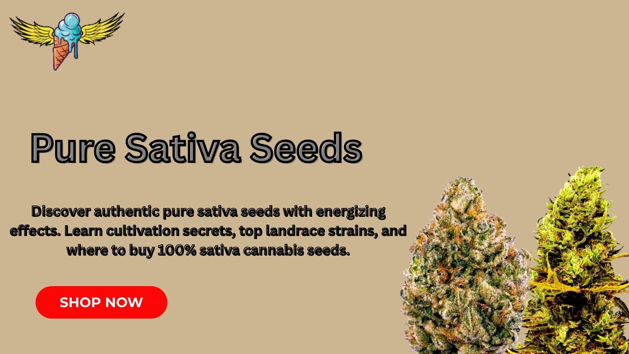 pure sativa seeds