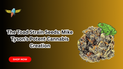The toad strain tyson seeds
