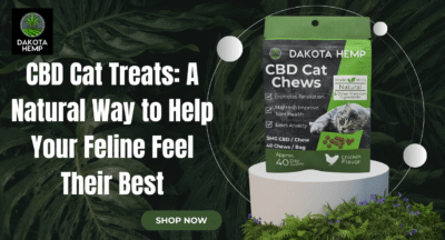 CBD Cat Treats