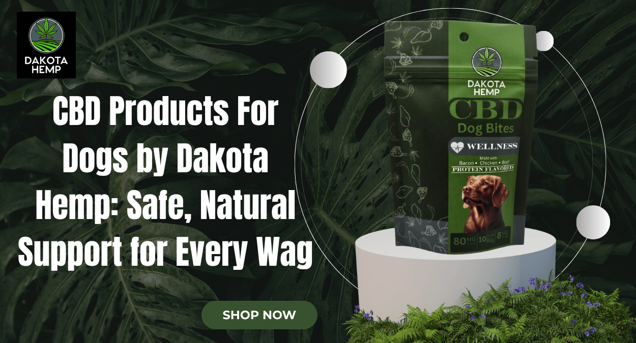 Focus Keyword: CBD Products For Dogs