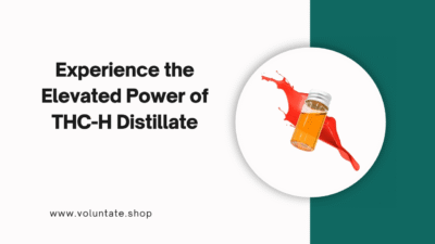 THC-H Distillate