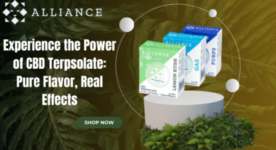 CBD Terpsolate
