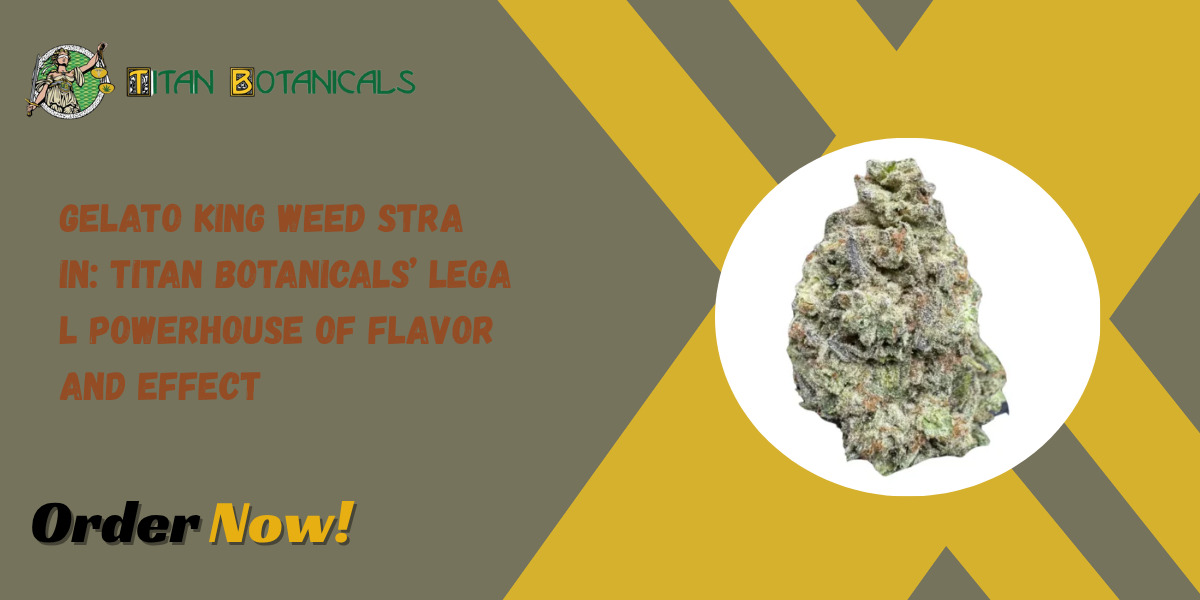 Gelato King Weed Strain