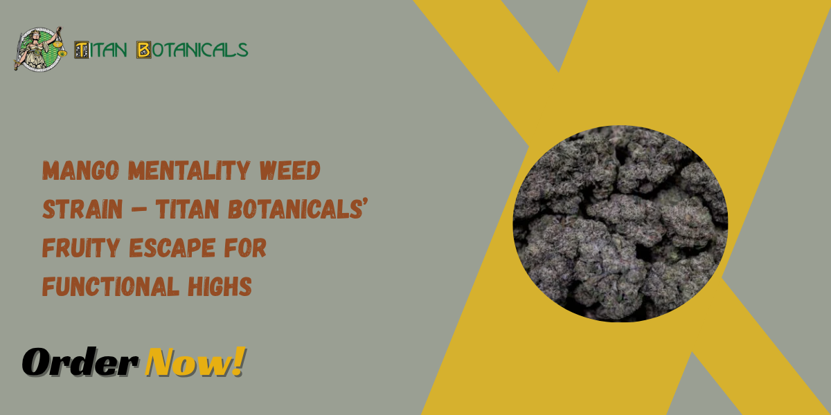 Mango Mentality Weed Strain