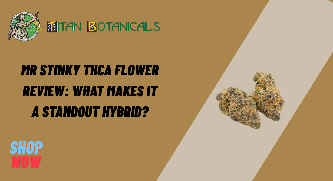 Mr Stinky THCa Flower