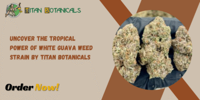 White Guava Weed Strain