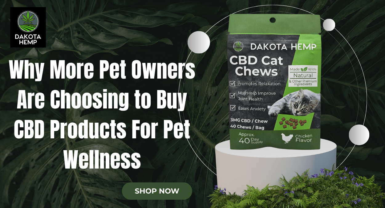 Buy CBD Products For Pet