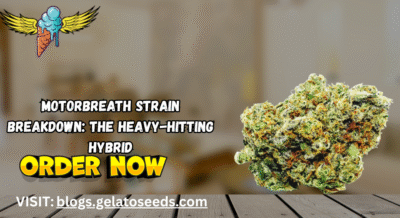 motorbreath strain