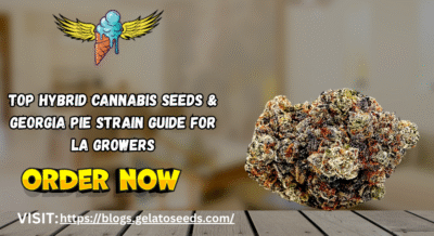 Hybrid Cannabis Seeds