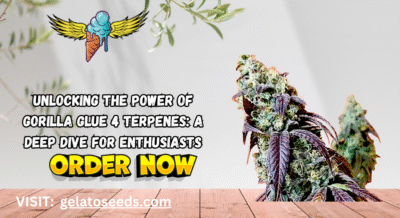 gorilla glue 4 terpenes