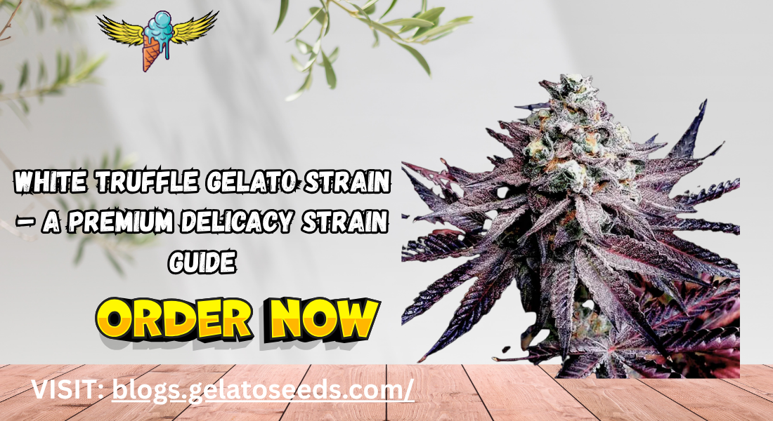 delicacy strain