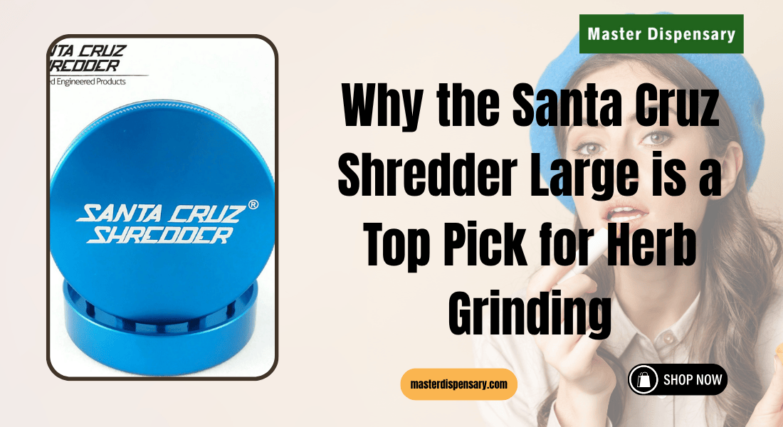 Santa Cruz Shredder Large