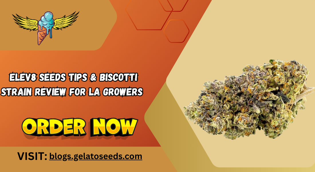Elev8 Seeds Tips